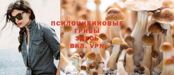 твердый Абаза