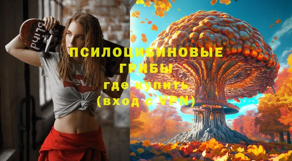 твердый Абаза